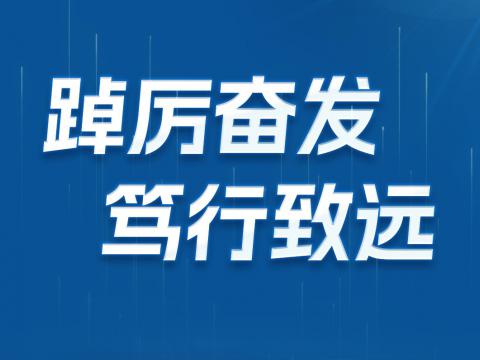 一图读懂9001cc金沙以诚为本电气2024年半年报