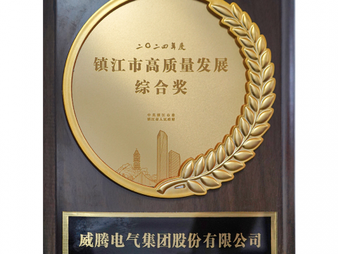 喜讯│9001cc金沙以诚为本荣获2024年度镇江市高质量生长综合奖