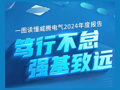 一图读懂9001cc金沙以诚为本电气2024年度报告